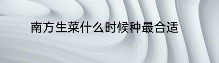 南方生菜什么时候种最合适