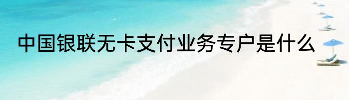 中国银联无卡支付业务专户是什么