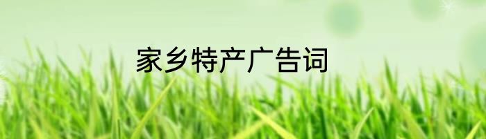 家乡特产广告词