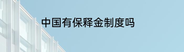 中国有保释金制度吗
