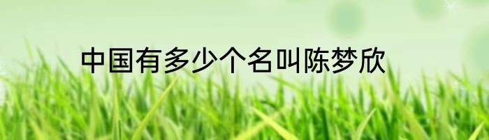 中国有多少个名叫陈梦欣