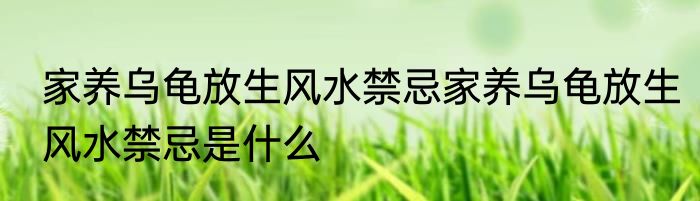 家养乌龟放生风水禁忌家养乌龟放生风水禁忌是什么