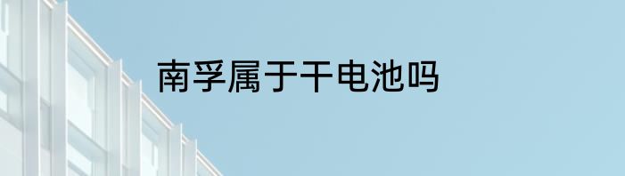 南孚属于干电池吗