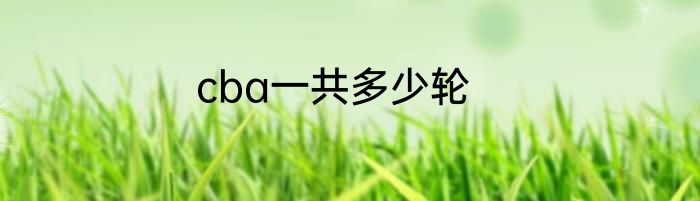 cba一共多少轮