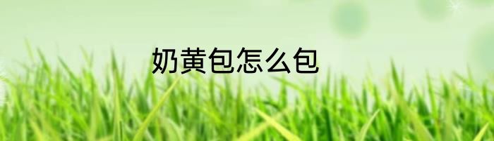 奶黄包怎么包