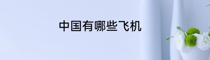中国有哪些飞机