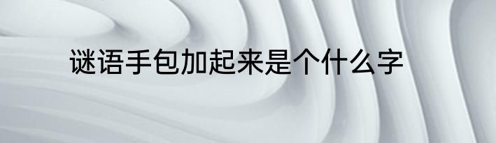 谜语手包加起来是个什么字