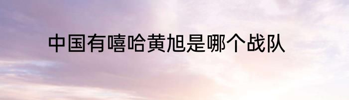 中国有嘻哈黄旭是哪个战队