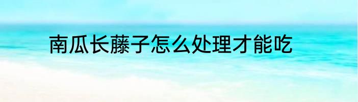 南瓜长藤子怎么处理才能吃