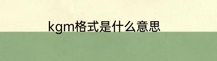 kgm格式是什么意思