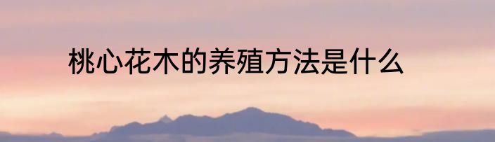 桃心花木的养殖方法是什么