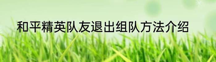和平精英队友退出组队方法介绍
