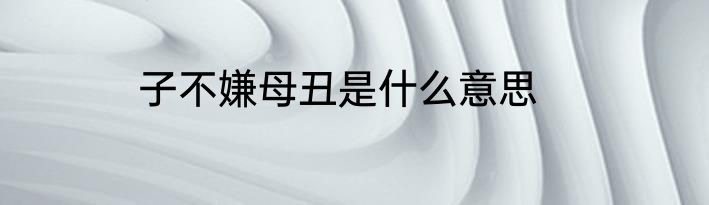 子不嫌母丑是什么意思