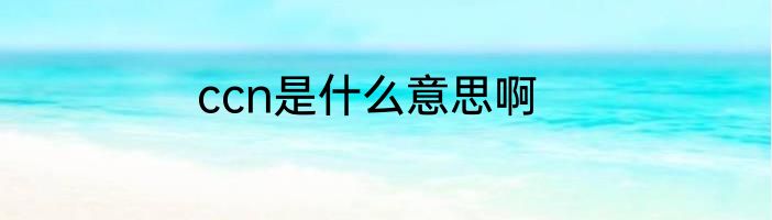ccn是什么意思啊