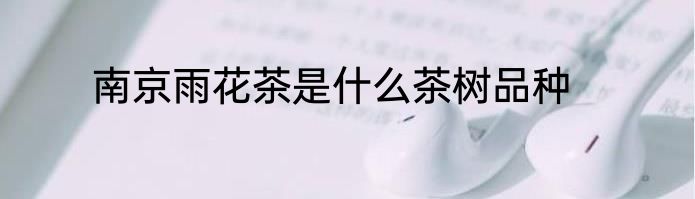 南京雨花茶是什么茶树品种