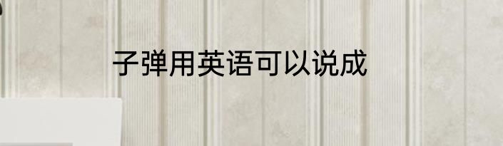 子弹用英语可以说成