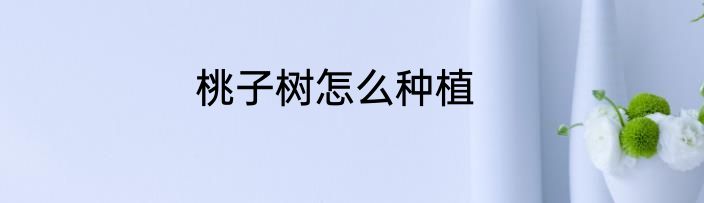 桃子树怎么种植