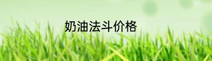 奶油法斗价格