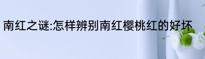 南红之谜:怎样辨别南红樱桃红的好坏