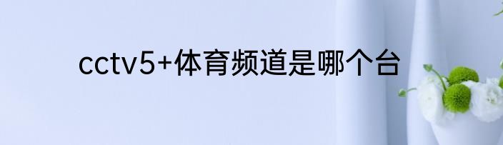 cctv5+体育频道是哪个台