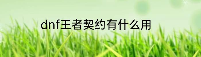 dnf王者契约有什么用
