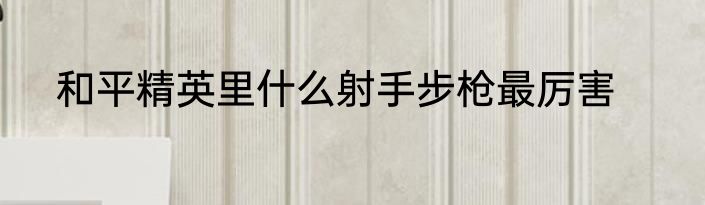 和平精英里什么射手步枪最厉害