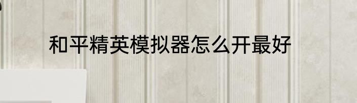 和平精英模拟器怎么开最好