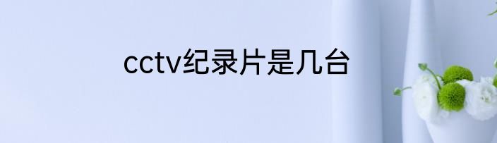 cctv纪录片是几台