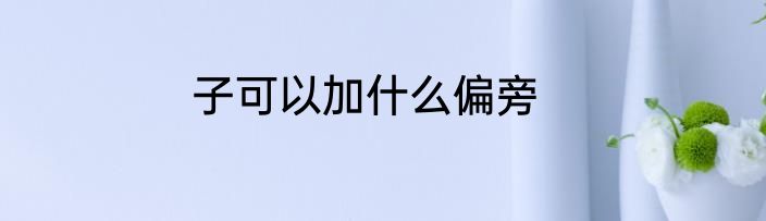子可以加什么偏旁