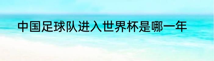 中国足球队进入世界杯是哪一年