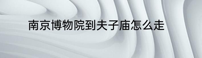南京博物院到夫子庙怎么走