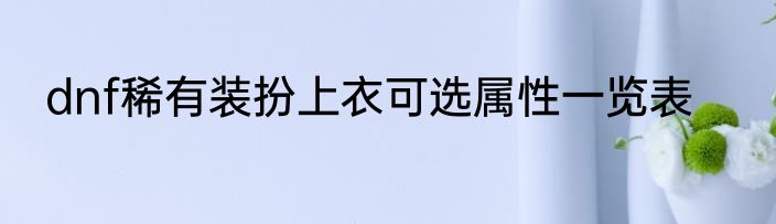 dnf稀有装扮上衣可选属性一览表
