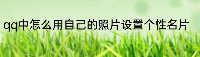 qq中怎么用自己的照片设置个性名片