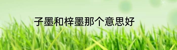 子墨和梓墨那个意思好