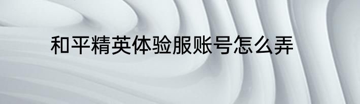 和平精英体验服账号怎么弄