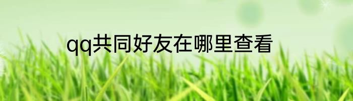qq共同好友在哪里查看