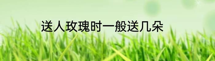 送人玫瑰时一般送几朵