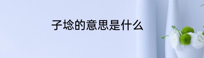 子埝的意思是什么