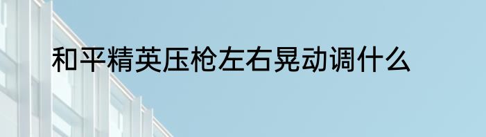 和平精英压枪左右晃动调什么
