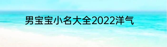 男宝宝小名大全2022洋气