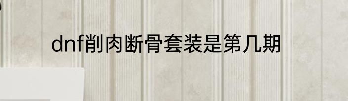 dnf削肉断骨套装是第几期