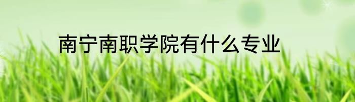 南宁南职学院有什么专业