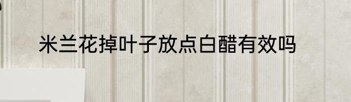 米兰花掉叶子放点白醋有效吗