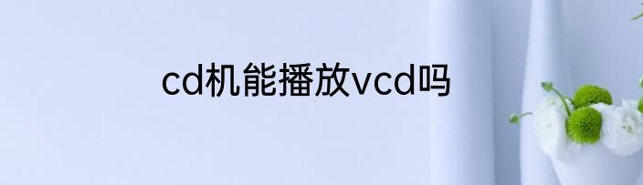 cd机能播放vcd吗