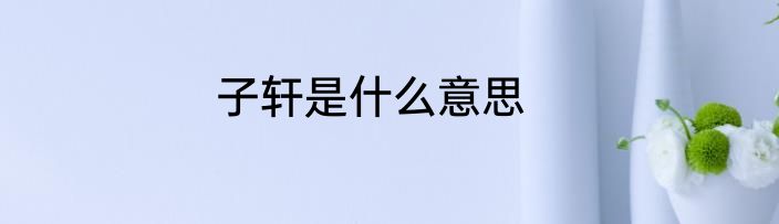 子轩是什么意思