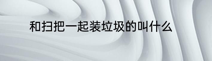 和扫把一起装垃圾的叫什么