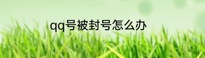 qq号被封号怎么办