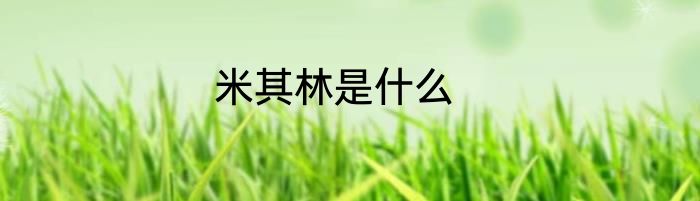 米其林是什么