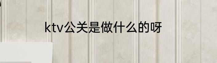 ktv公关是做什么的呀
