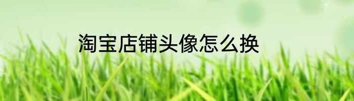 淘宝店铺头像怎么换
